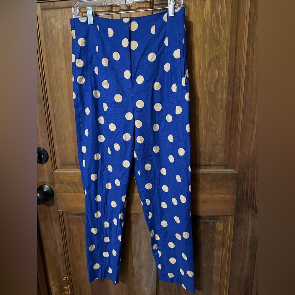 Zara Blue Polka Dot pants